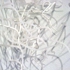 Seaweed-2-2