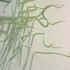 Seaweed-1-3