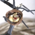 _5_ressurection_detail
