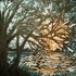 Blurb_photos_016