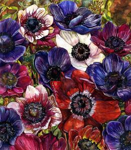 As_cropped20100912104441-anenomes_001