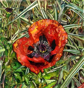 Poppy_001