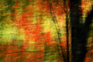 4_-_john_r_math_-_digital_image_-_2007_-_10_x_15_-_450
