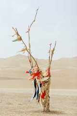 Unrevealed, Site 1 (Fertility),Lisa Ross