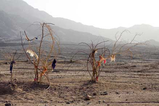 Black Garden (Tandem),Lisa Ross