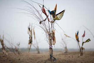 Black Garden (An Offering),Lisa Ross