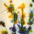 Propagation_ii_18