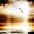 Light_the_way