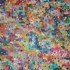 Squares_1_fernie