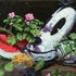 Doof_still_life