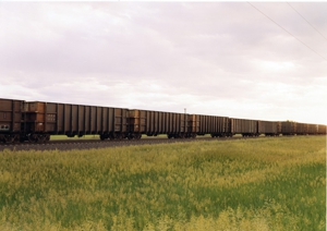 Vs-01-19_trainwithtallgrass