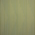 Caraway