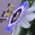 My_photos_003