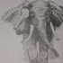 My_pictures_by_north_east_artist_009