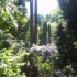 My_photos_024