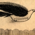 Bird_plane
