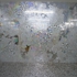 Goran_participant__inc_003