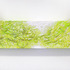 20120512233529-bone_painting_6-1_copy
