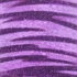 Purple_tiger_painting__shazam__