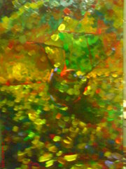 Dsc00098