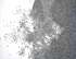 Untitled-5-detail-pf