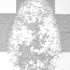 New-flocks-3-detail