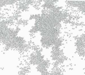 New-flocks-4-detail