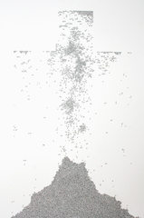 Flock 5,Nicky Broekhuysen