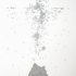 New-flocks-5