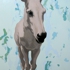 Donkey07_5