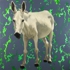 Donkey07_7web2