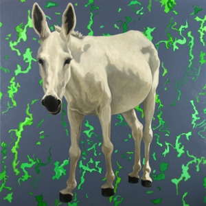 Donkey07_7web2