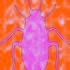 _2_cockroach_no_5_