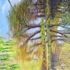 Duck_pond