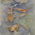 Fish_pond