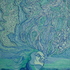 P6060059