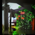 Picture_22_copy