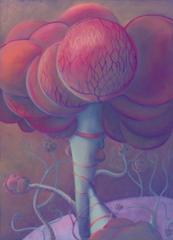 Alveoli_lungs