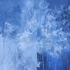 Where_rain_go