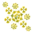 Ginko_pattern