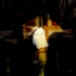 Datura_dreams2_-_cape_cod-web