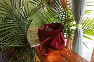 _mg_7619_dxo_raw