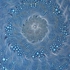 Takenaga_bluewheel