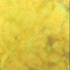 Yellow_jpg