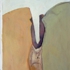 Gen_4