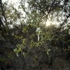 10_los_angeles__ca_0707_copy