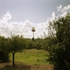 102_mcdonalds_alpine_tx_0707_copy