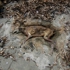 12_seacacus__nj_0606