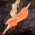 Dance_us03