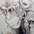 Chimpdetail